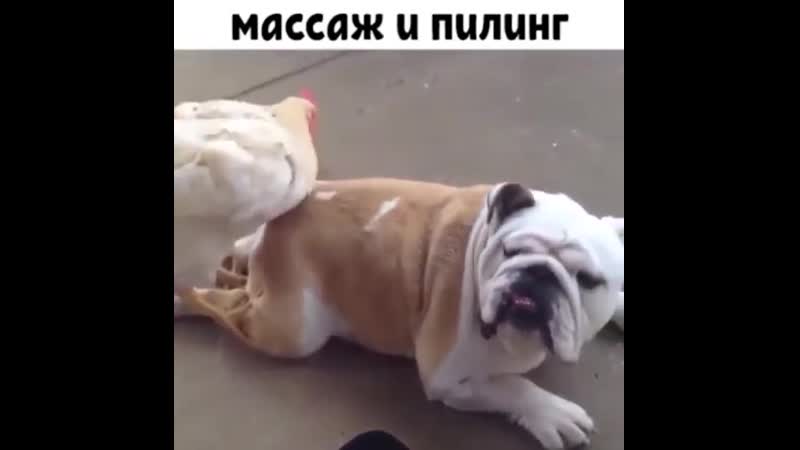 Рельсы рельсы, шпалы шпалы..