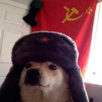 Артём Щербинин