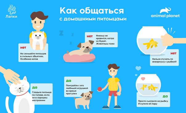 Вместе с приложением мы сделали памятку, как научить ребенка жить дружно с четырехлапыми, чешуйчатыми и другими обитателями дома Благодаря приложению можно не только позаботиться о своих