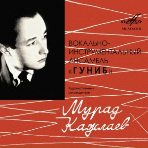 Вокально-инструментальный ансамбль