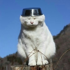 Олег Злобин